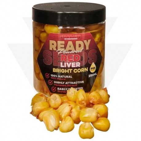 READY SEEDS BRIGHT CORN RED LIVER