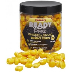 READY SEEDS BRIGHT CORN GINGER SQUID 250ML