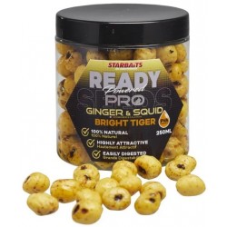 READY SEEDS BRIGHT TIGER GINGER SQUID 250ML