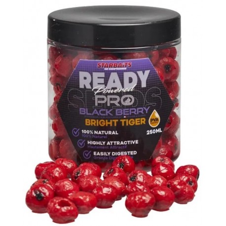 READY SEEDS BRIGHT TIGER BLACKBERRY 250ML